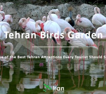 Tehran Birds Garden