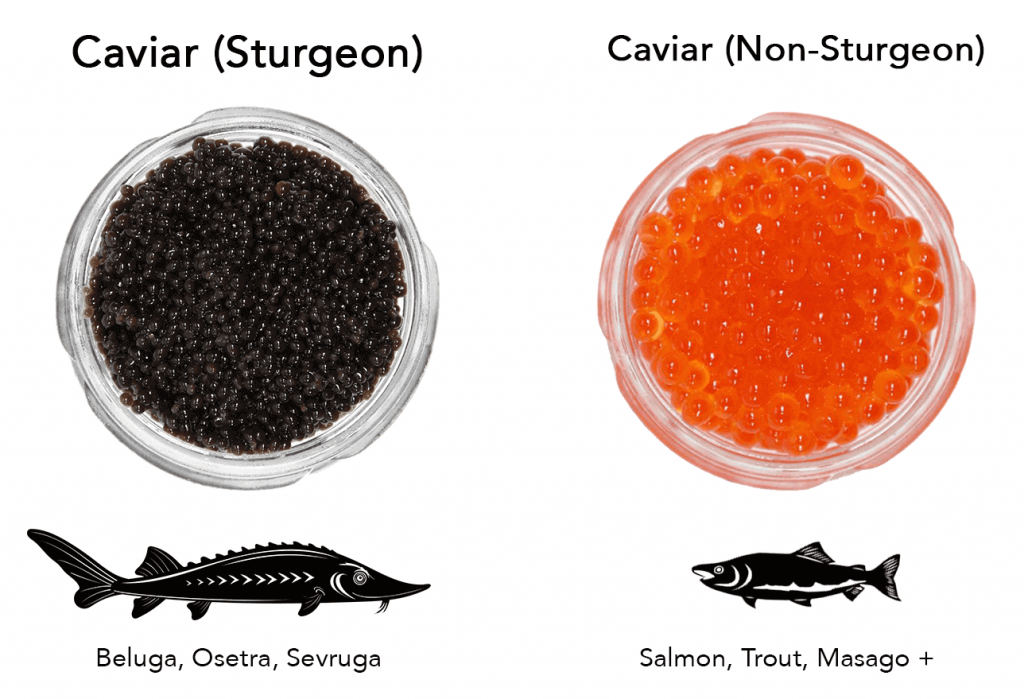 Comparison Between Iranian Caviar vs. Russian Caviar